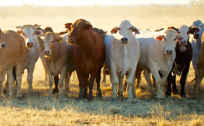 Frontier International Moves FX Hedging Off a Spreadsheet