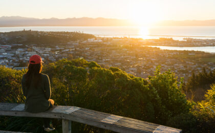 Nelson City Council: Hedgebook single source of treasury truth