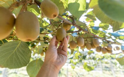 How T&G Global manages FX risk across multiple currencies