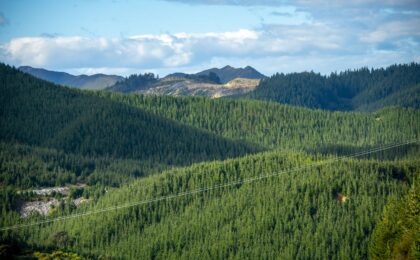 Tenon Clearwood Builds on FX Hedging Basics